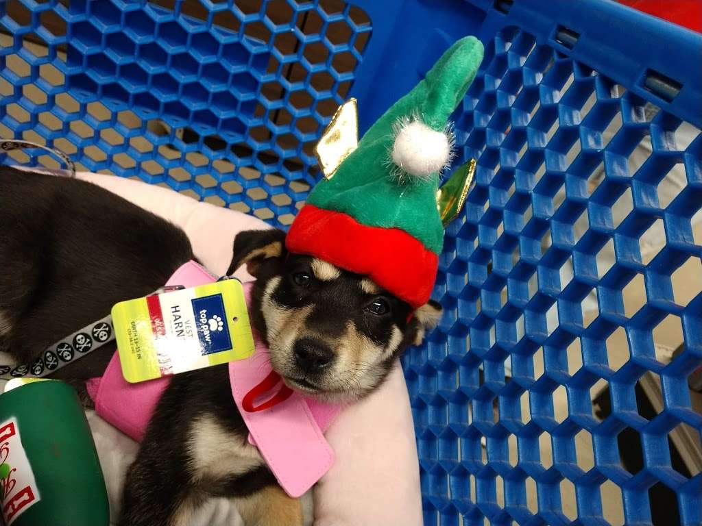 PetSmart | 6345 Garth Rd Suite 140, Baytown, TX 77521, USA | Phone: (346) 216-3983