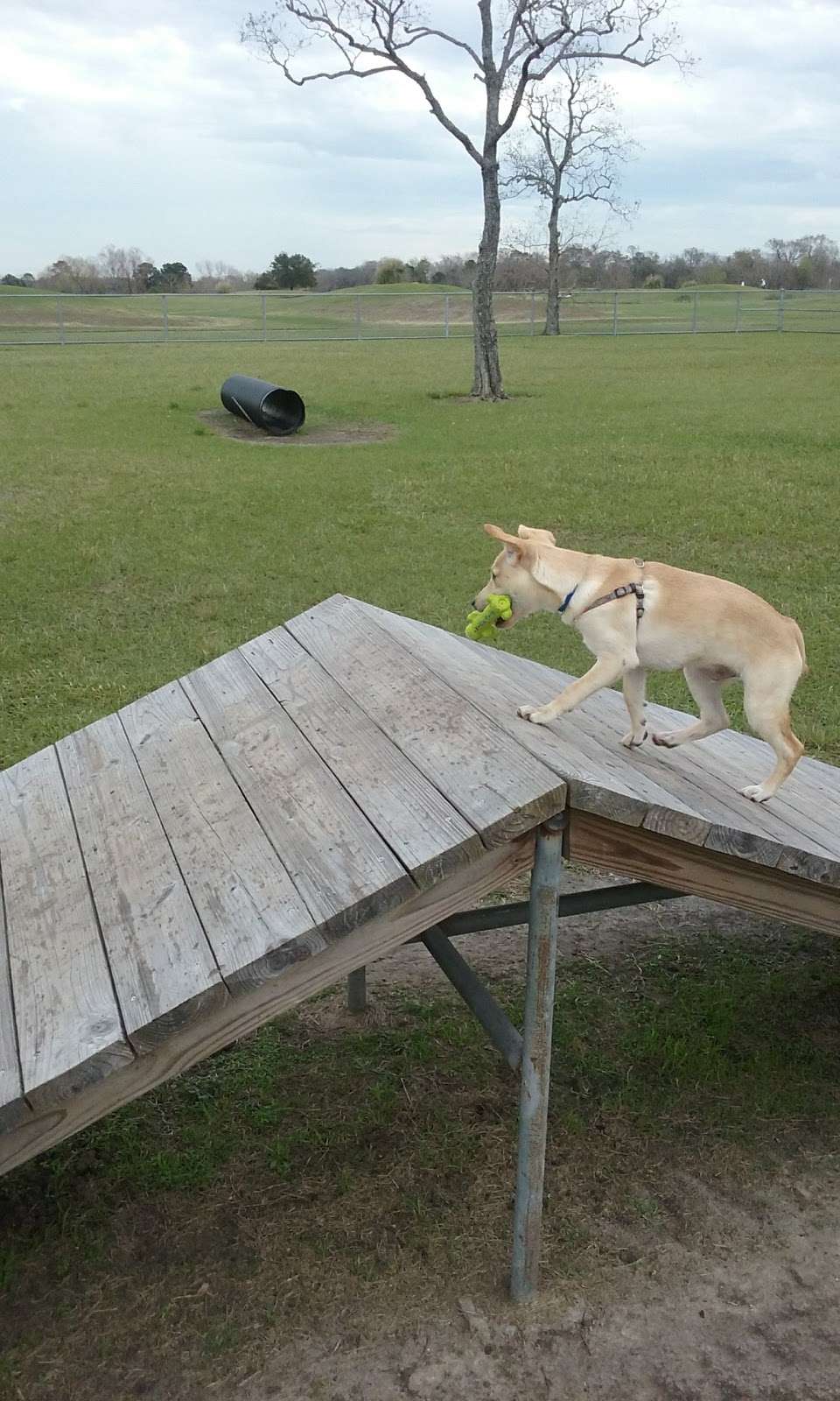 Tom Bass Dog Park | Houston, TX 77047, USA