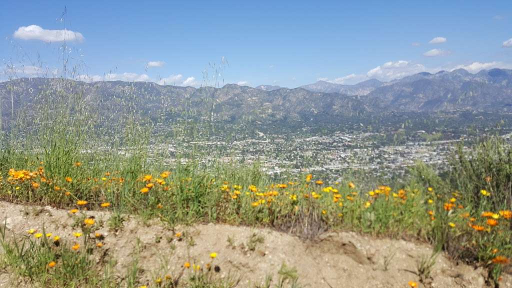 Verdugo Mountain - Beaudry Fire Road Loop | Beaudry North Mtwy, Glendale, CA 91208, USA | Phone: (818) 548-2184