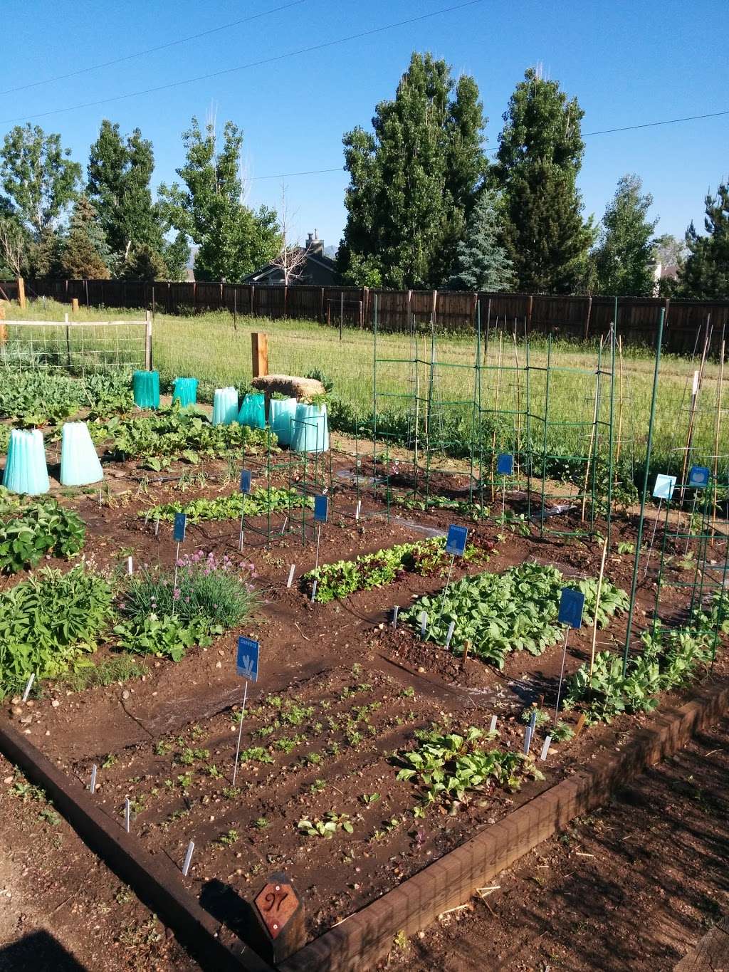 Rose Roots Community Garden | 12920 W 84th Ave, Arvada, CO 80005