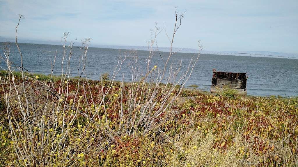 Coyote Point Recreation Area | 1701 Coyote Point Dr, San Mateo, CA 94401, USA | Phone: (650) 573-2592