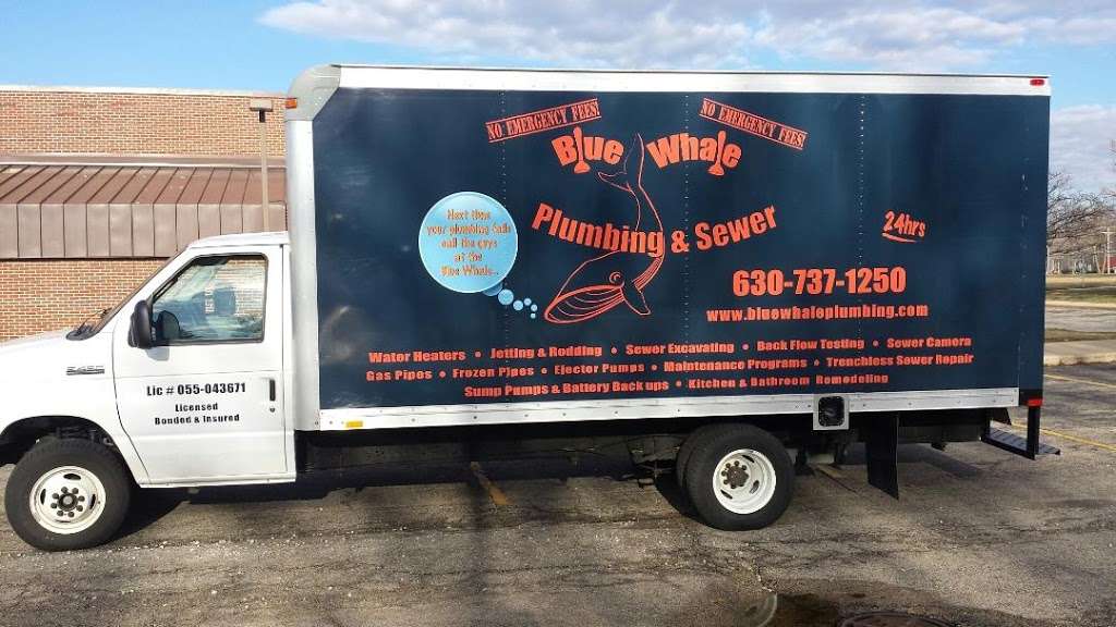 Blue Whale Plumbing and Sewer | 110 Kirkland Cir Unit I, Oswego, IL 60543, USA | Phone: (630) 737-1250