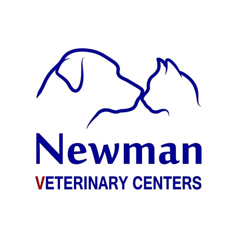 Newman Veterinary Centers | 1301 E International Speedway Blvd, DeLand, FL 32724, USA | Phone: (386) 736-9711