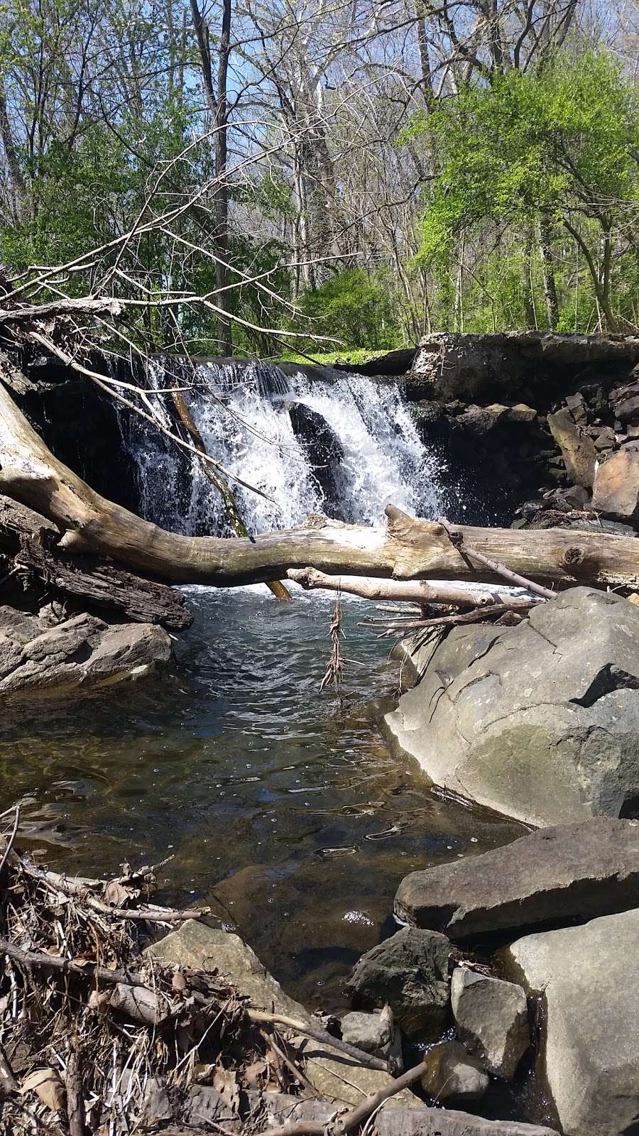 Ithan Valley Park | Bryn Mawr, PA 19010, USA