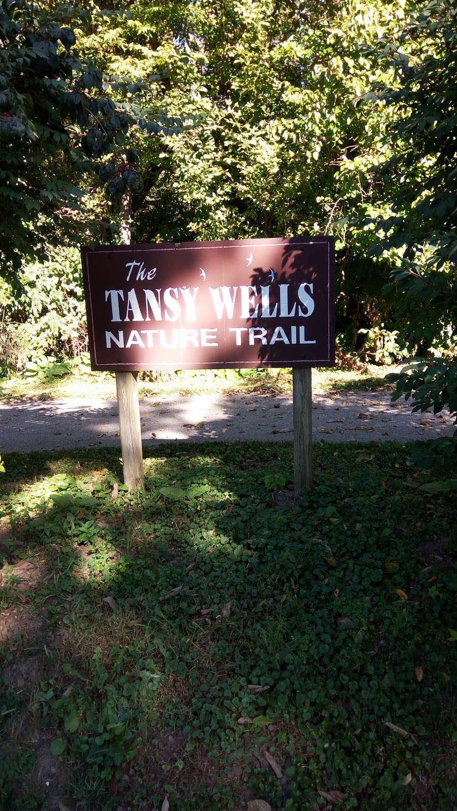 Tansy Wells Nature Trail | 500-598 Linwood Dr, Greencastle, IN 46135, USA