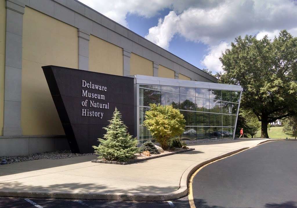 Delaware Museum of Natural History | 4840 Kennett Pike, Wilmington, DE 19807, USA | Phone: (302) 658-9111