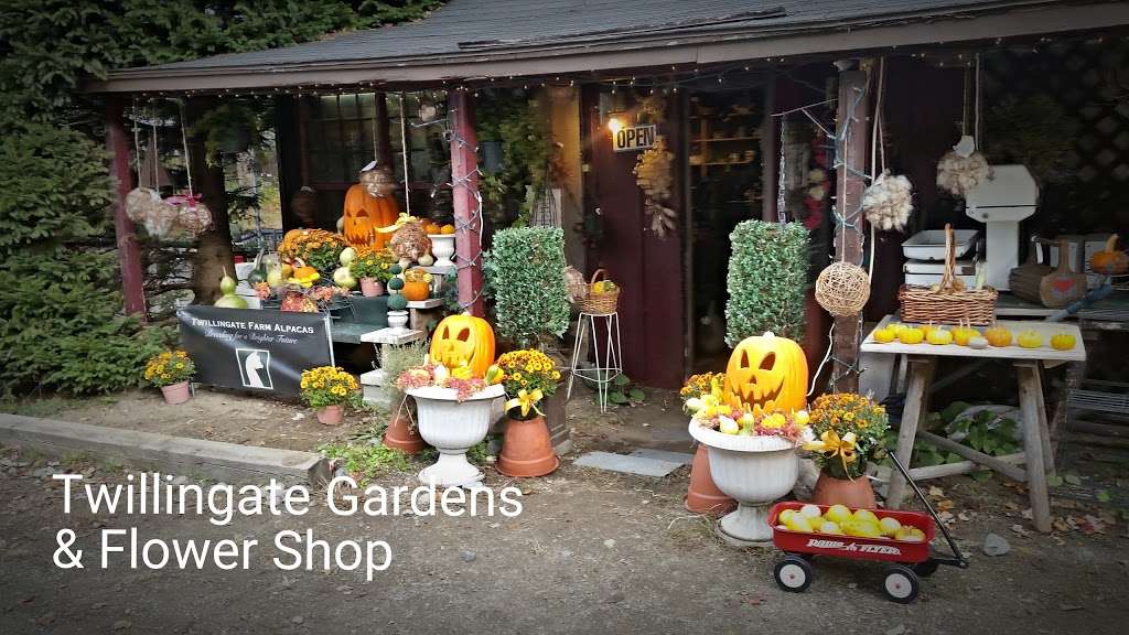 Twillingate Gardens Flower Shp | 136 Hudson Rd, Sudbury, MA 01776, USA | Phone: (978) 443-6643