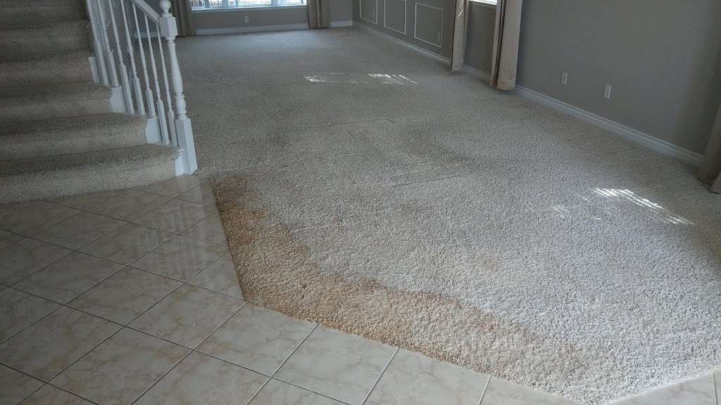Ecodry Carpet Cleaning Henderson, NV | 833 Aspen Peak Loop #911, Henderson, NV 89011, USA | Phone: (702) 292-4252