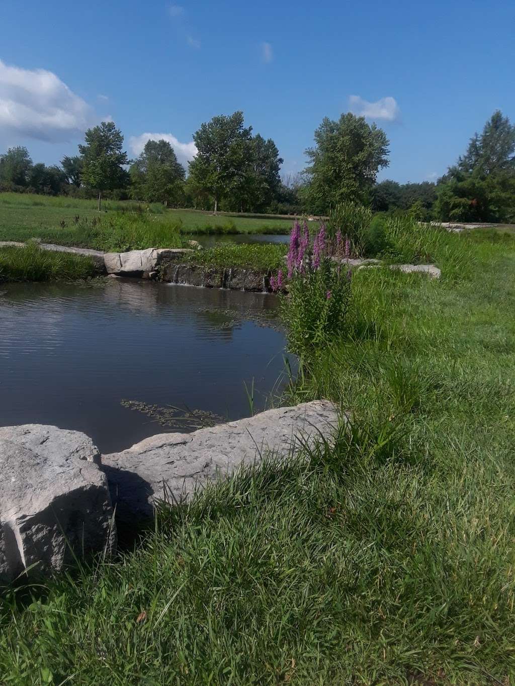 Rotary Arboretum | 5100 W 27th St, Lawrence, KS 66047, USA | Phone: (785) 832-3450