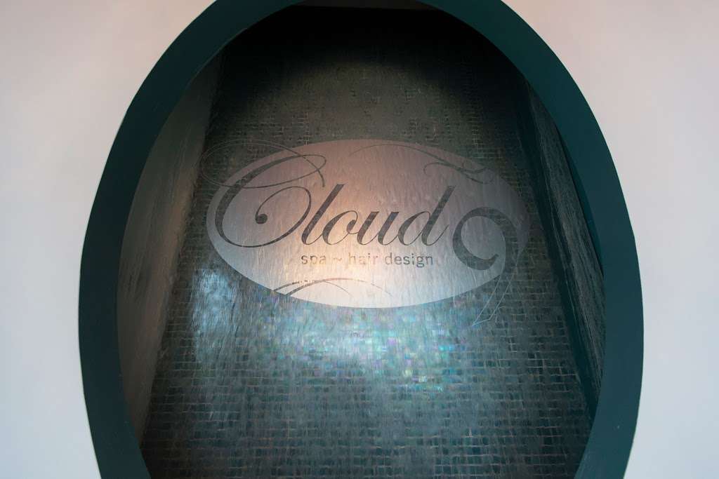 Cloud 9 Spa & Hair Design | 14753 Hazel Dell Crossing #300, Noblesville, IN 46062, USA | Phone: (317) 569-9620