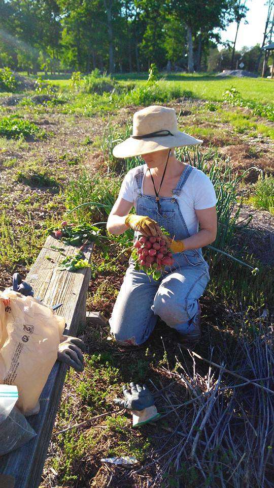 Deeper Down Community Garden | 149 Howards Creek Mill Rd, Lincolnton, NC 28092