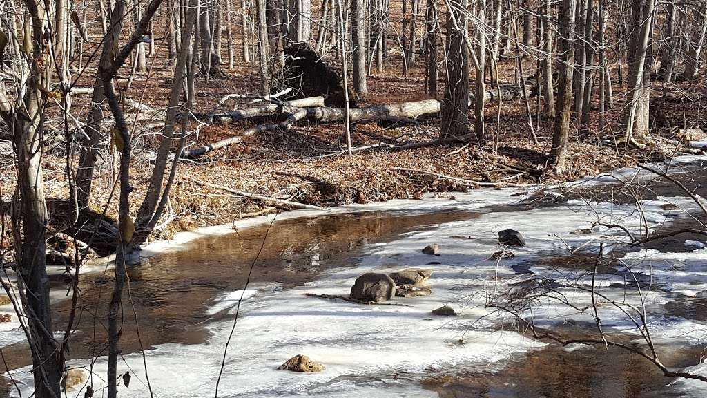 New Jersey Audubons Scherman Hoffman Wildlife Sanctuary | 11 Hardscrabble Rd, Bernardsville, NJ 07924, USA | Phone: (908) 396-6386