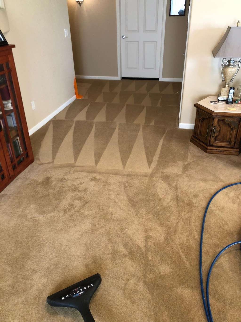 Bulldog Carpet Cleaning | 6398 Pumpkin Ridge Dr, Windsor, CO 80550, USA | Phone: (970) 222-8198