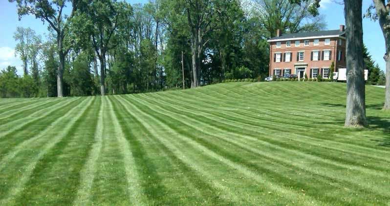 Second Nature Lawn Care, Inc. | 54 Center St, Pearl River, NY 10965, USA | Phone: (845) 735-2331