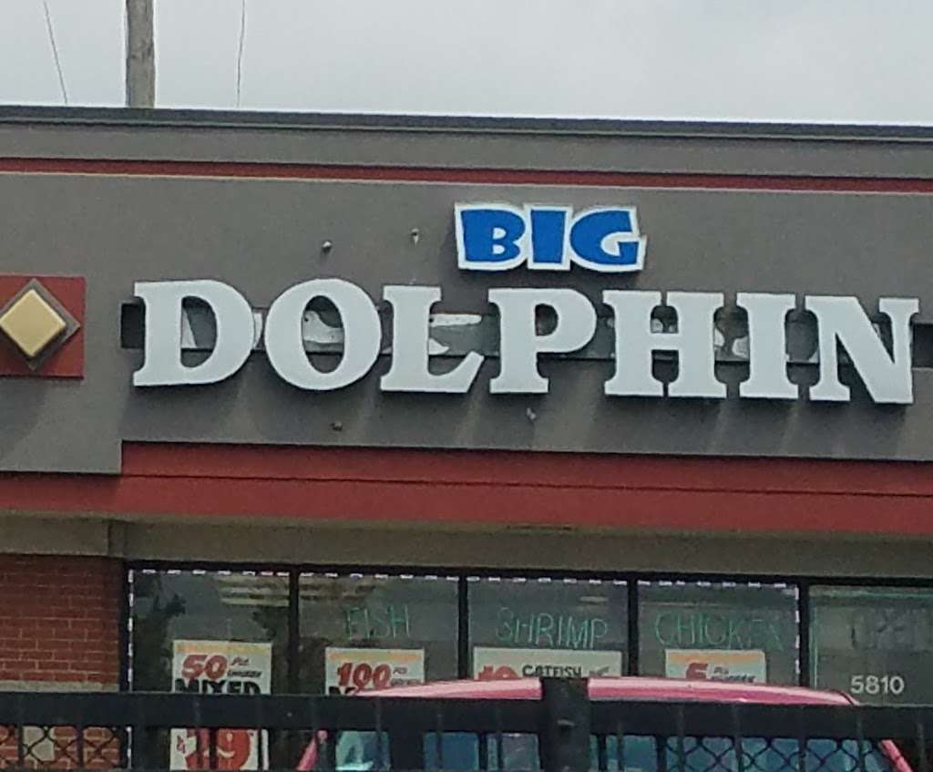 Big Dolphin | 5810 W North Ave, Chicago, IL 60639, USA | Phone: (773) 622-6054