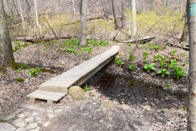 Giant Stairs Palisades | Shore Trail, Closter, NY 07624, USA | Phone: (201) 750-0465