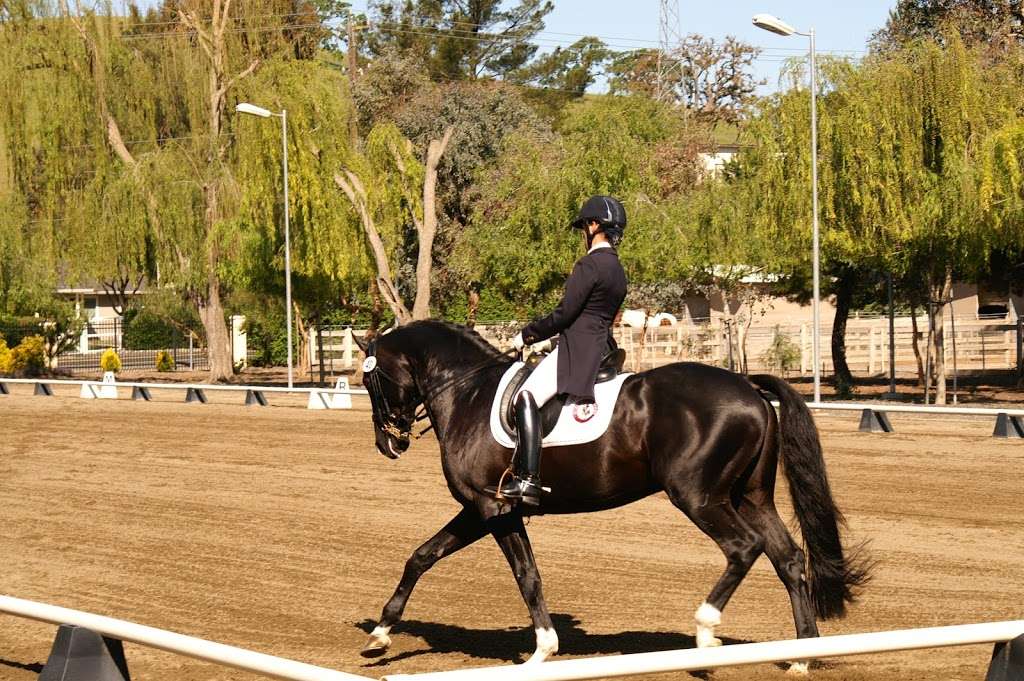 Euro-Quest Farms Center For Dressage | 5900 Old School Rd, Danville, CA 94588, USA | Phone: (510) 755-9700