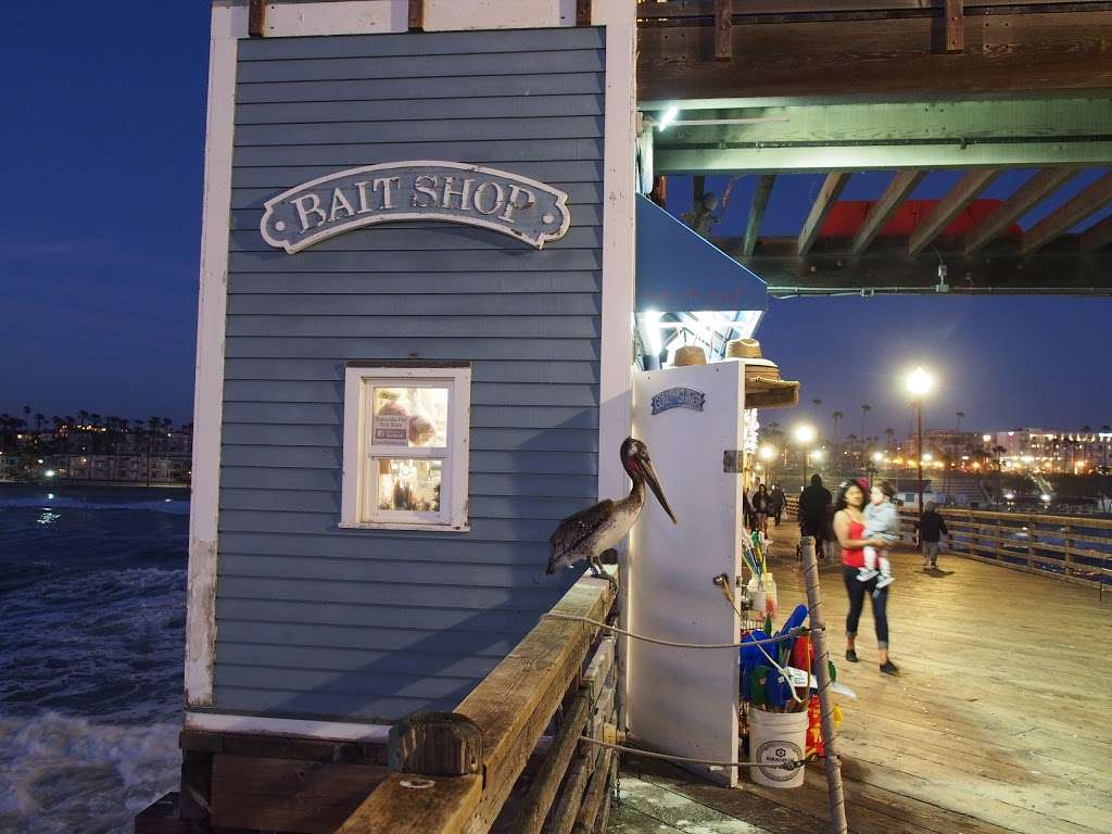 Oceanside Pier Bait Store | 10 Oceanside Pier, Oceanside, CA 92054 | Phone: (760) 722-3936