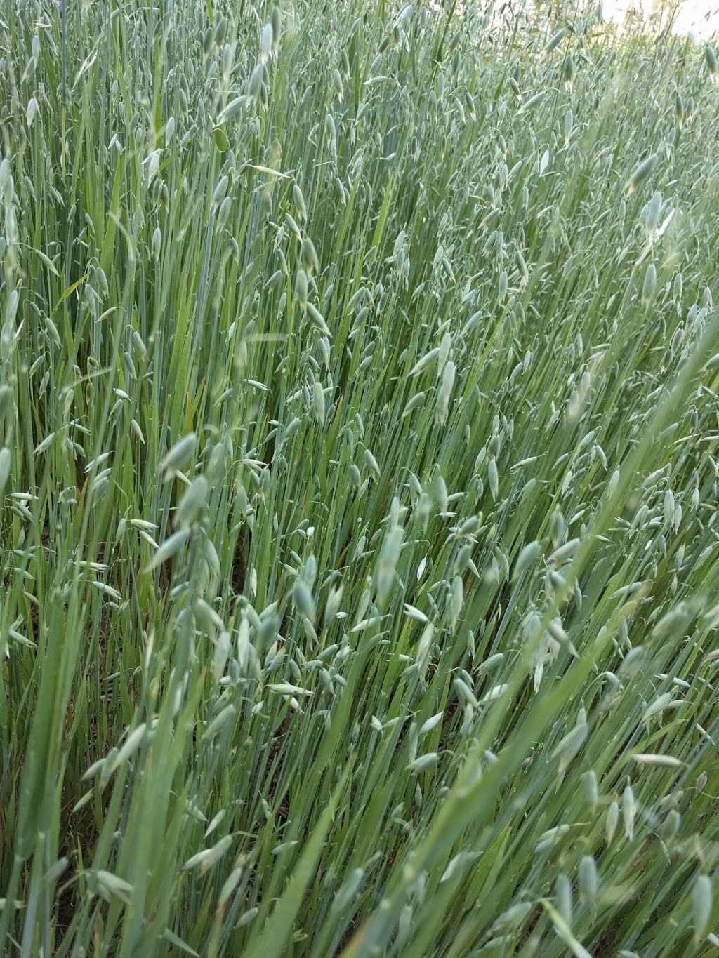 WatermelonStand.com | 28 Cardinal Dr, Fredericksburg, VA 22406, USA | Phone: (540) 602-5990