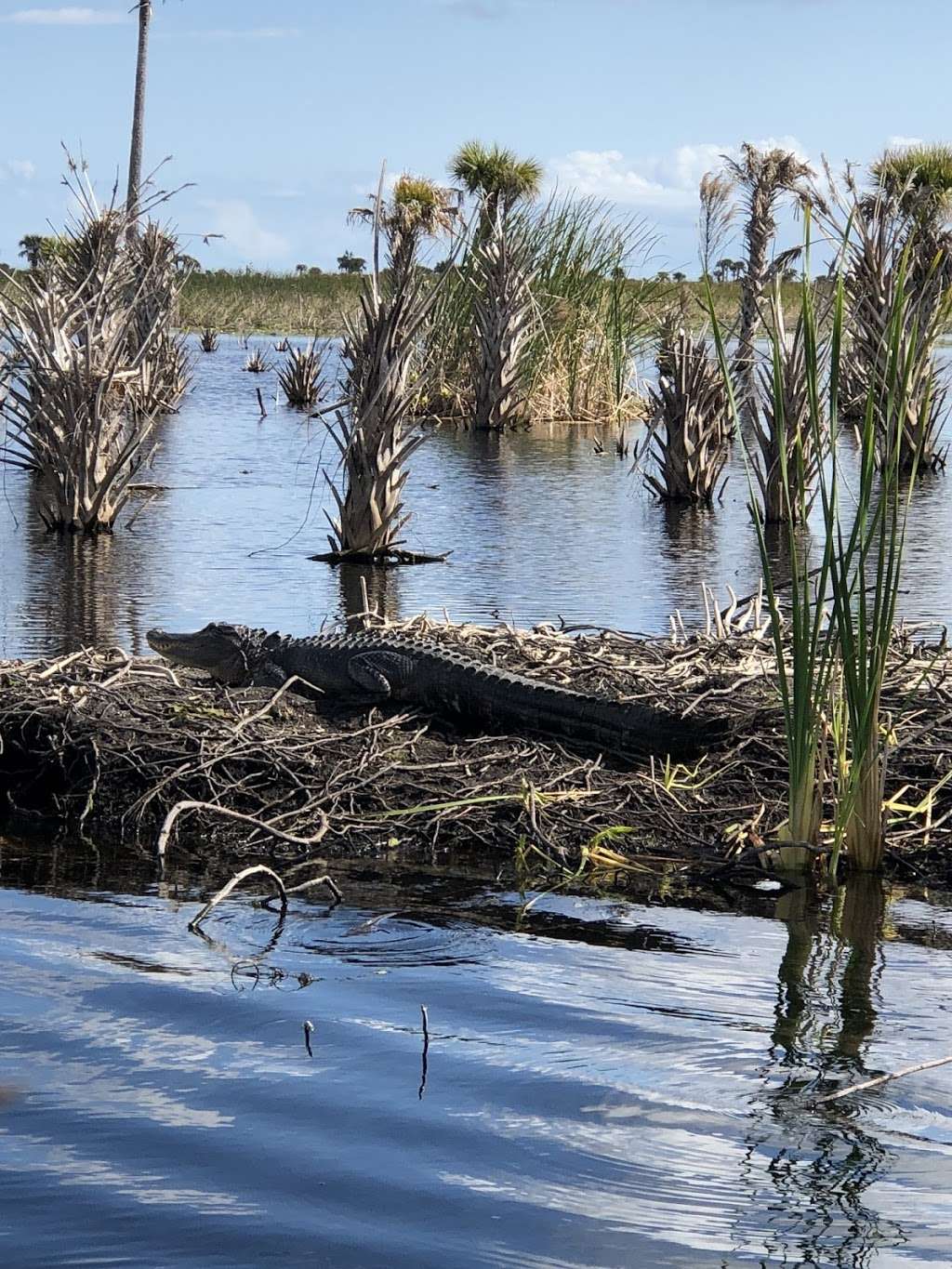 Swamp Donkey Airboat Rides | W Malabar Rd, Melbourne, FL 32904, USA | Phone: (321) 373-2550