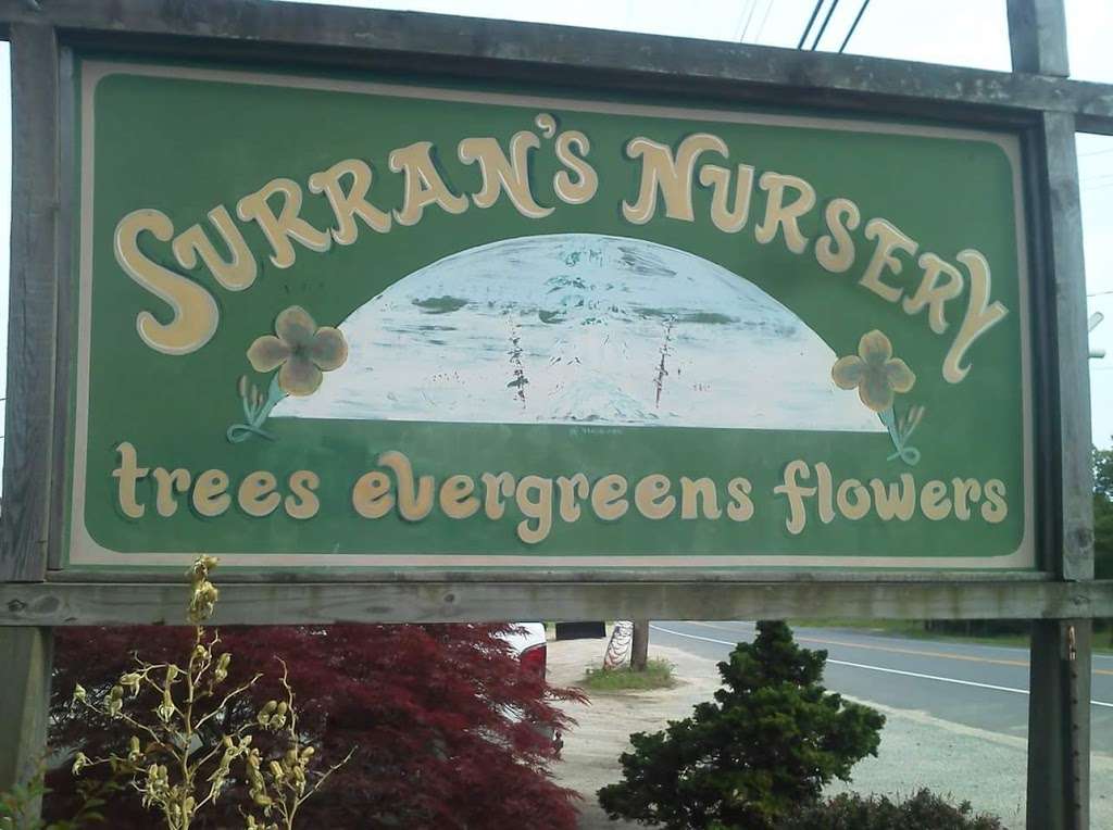 Surrans Nursery | 605 NJ-50, Corbin City, NJ 08270, USA | Phone: (609) 628-3199