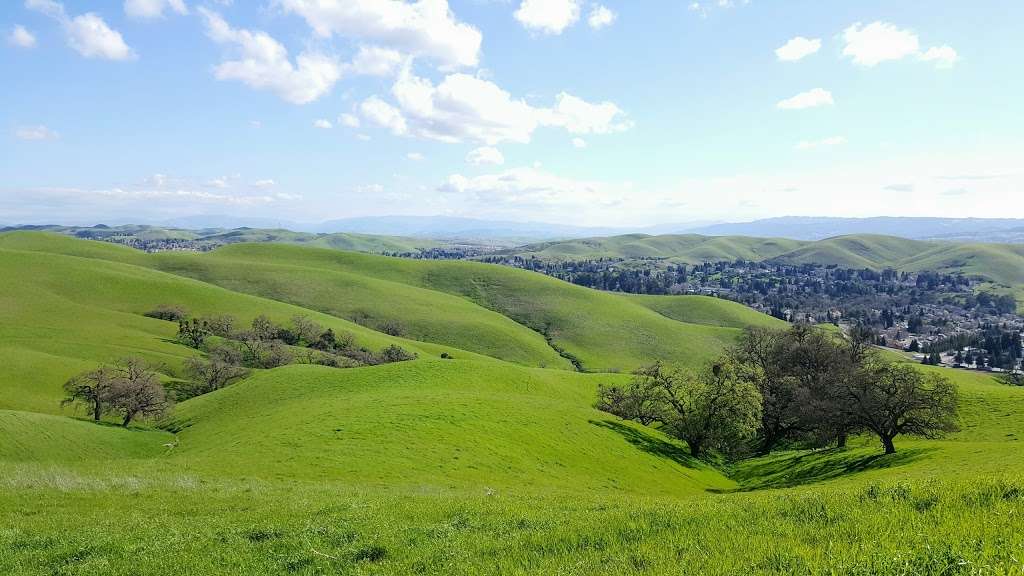 Tassajara Ridge Staging Area | 12295 Windemere Pkwy, San Ramon, CA 94582, USA