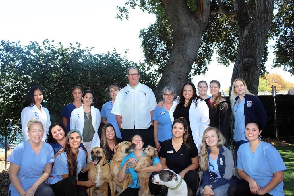 Animal Hospital of Soquel | 2651 Soquel Ave, Santa Cruz, CA 95062 | Phone: (831) 475-0432