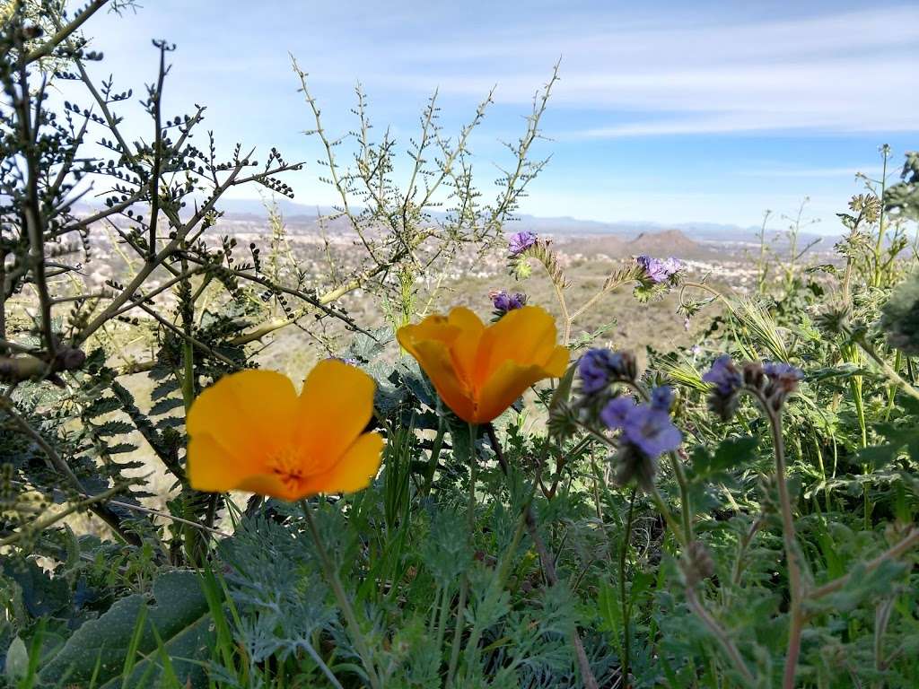 Shaw Butte Trail | Shaw Butte Trail, Phoenix, AZ 85029, USA