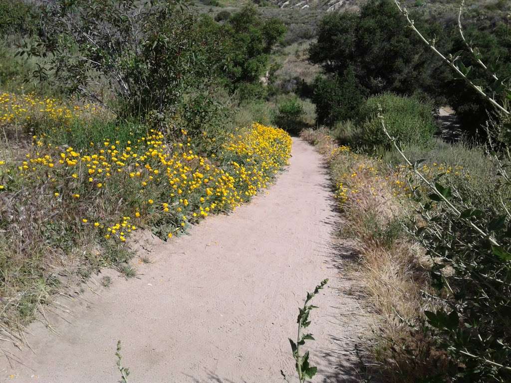 Anaheim Hills Riding and Walking Trail | 6984 E Overlook Terrace, Anaheim, CA 92807, USA