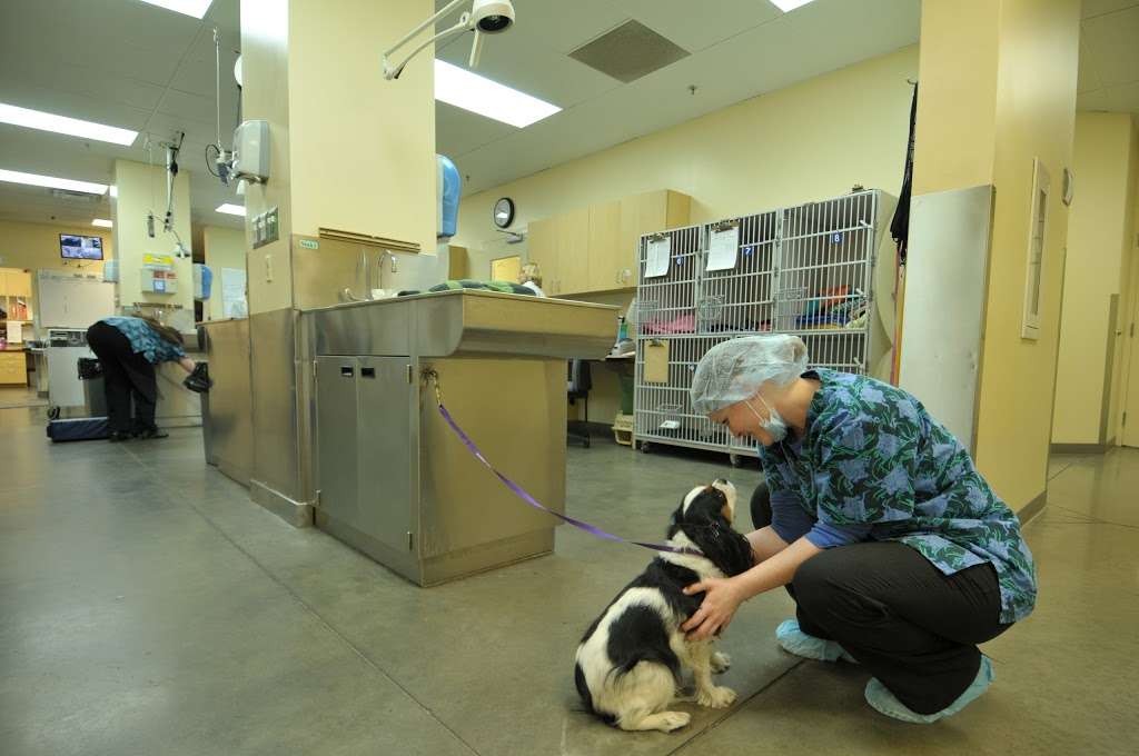 VCA Alameda East Veterinary Hospital | 9770 E Alameda Ave, Denver, CO 80247 | Phone: (303) 366-2639