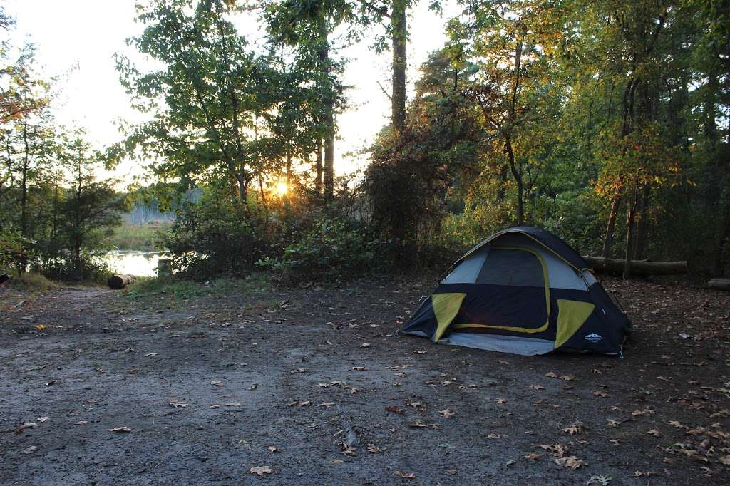 Goshen Pond Camping Area | Wharton State Forest, Shamong, NJ 08088, USA | Phone: (609) 268-0444