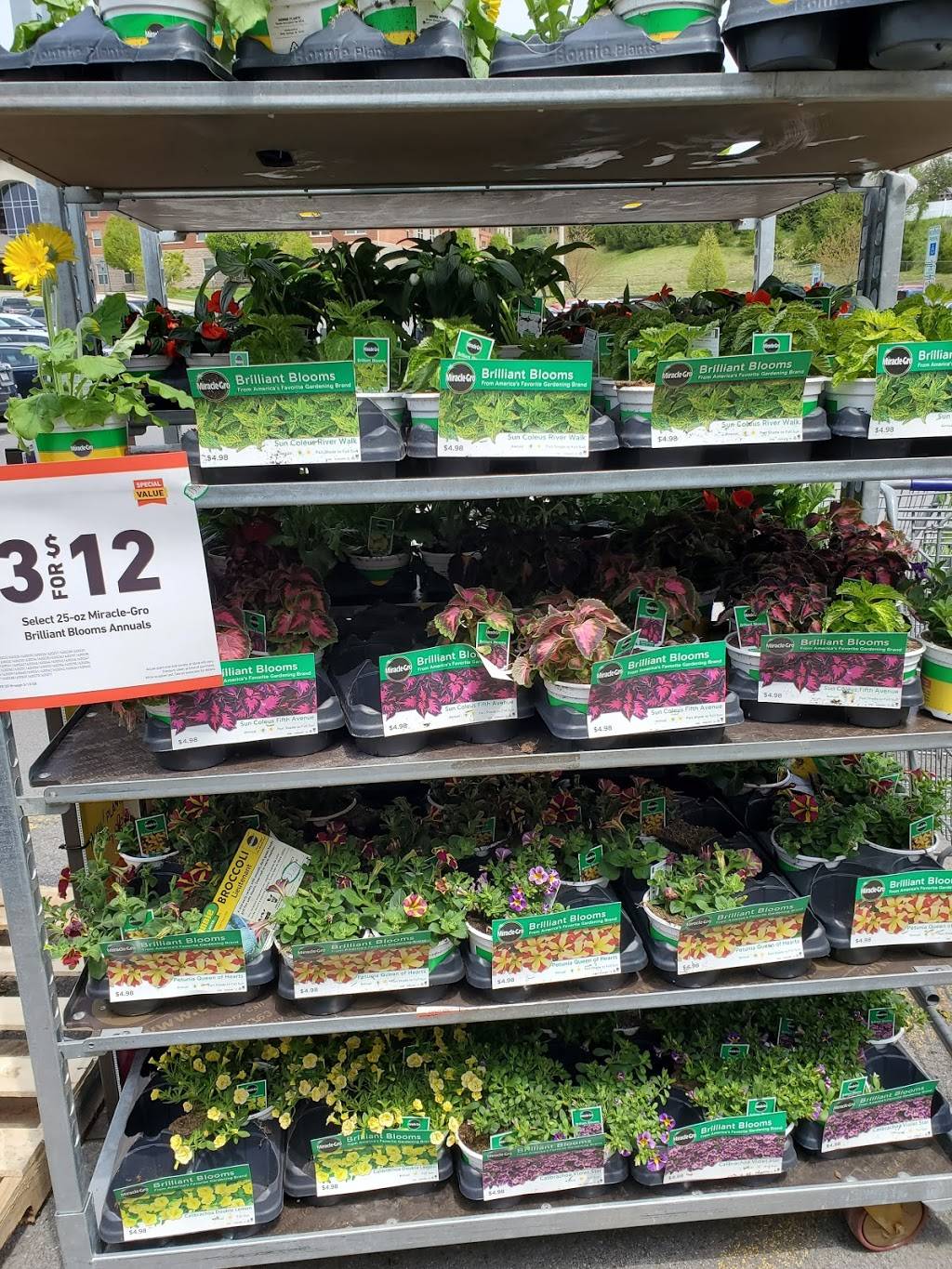 Lowes Garden Center | 5775 Baptist Rd, Bethel Park, PA 15102, USA | Phone: (412) 212-2000