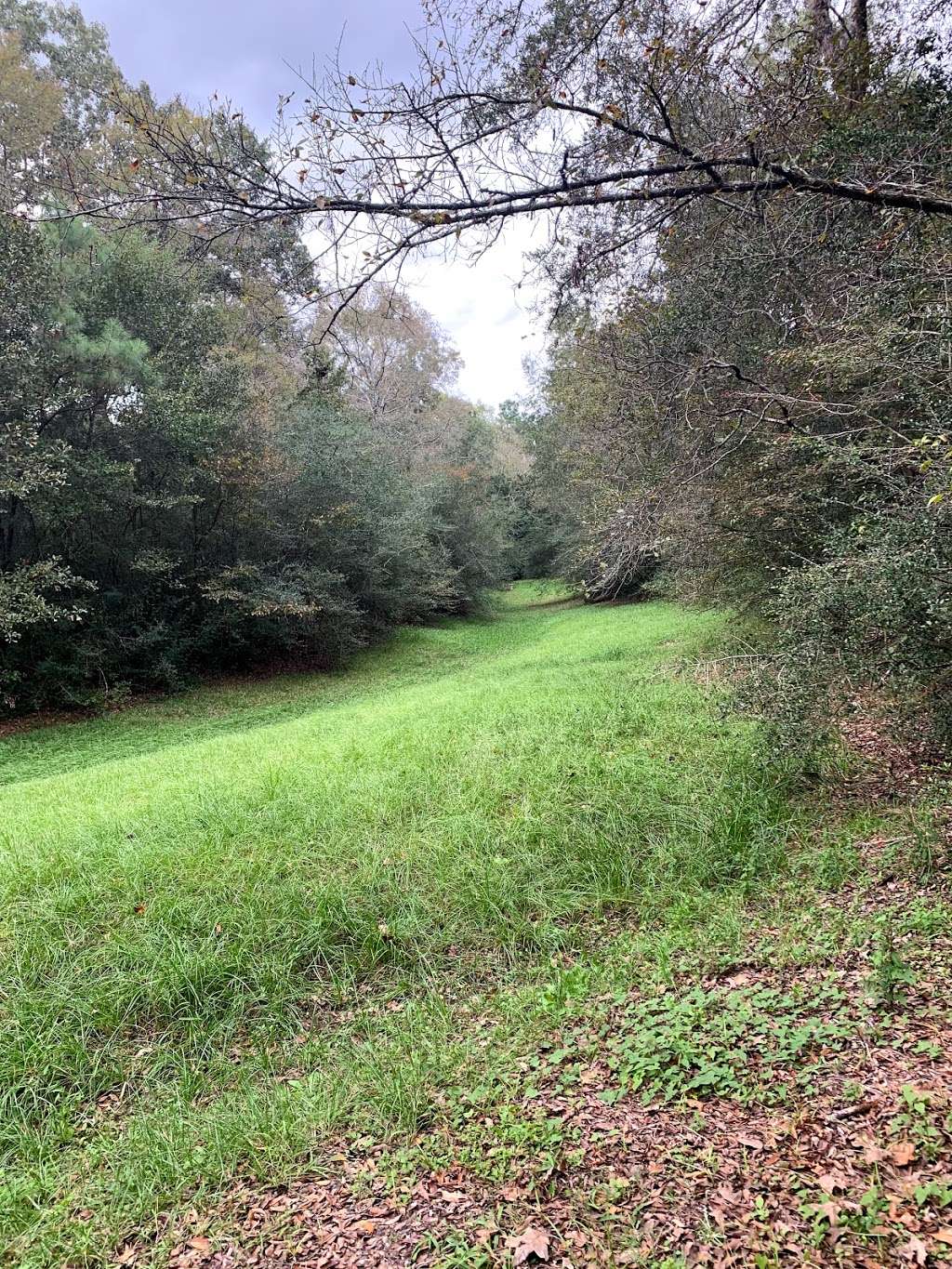Crossvine Park | 2709 Crossvine Cir, The Woodlands, TX 77380, USA | Phone: (281) 210-3800