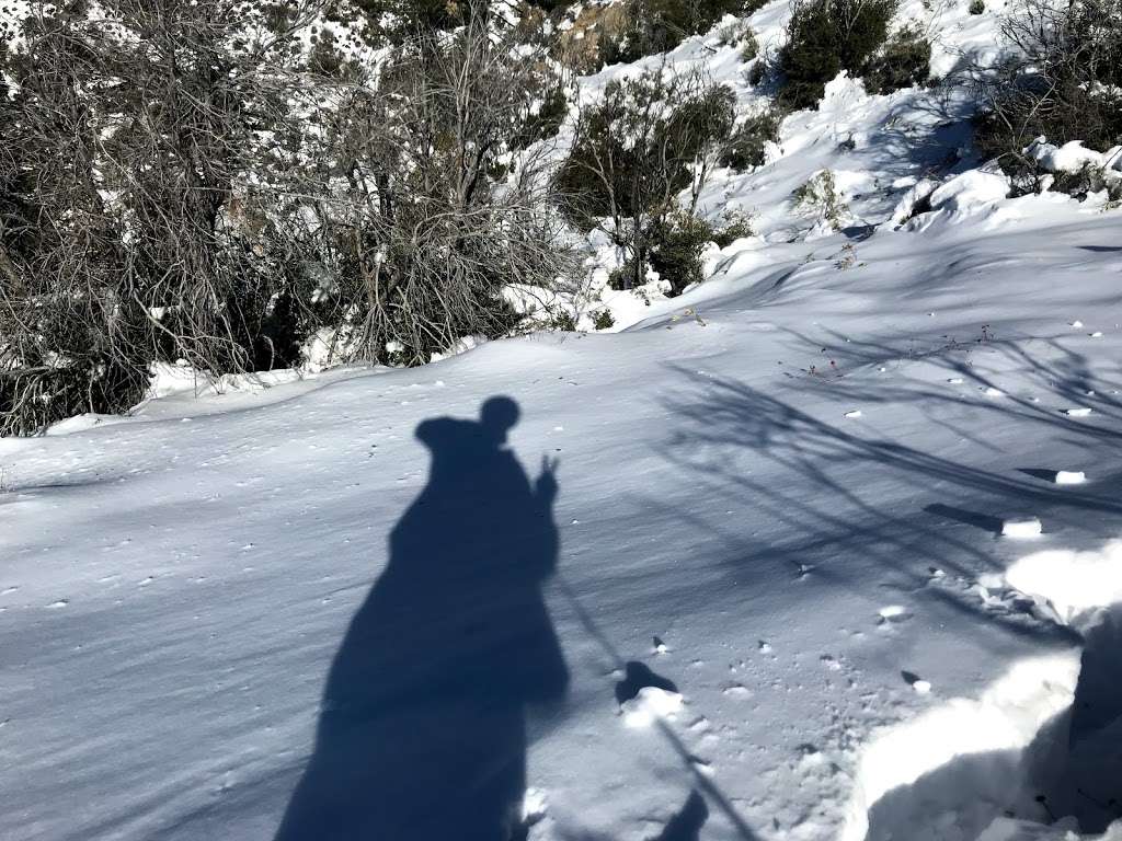 Strawberry peak west ridge trail | Colby Cyn Trail, Palmdale, CA 93550, USA