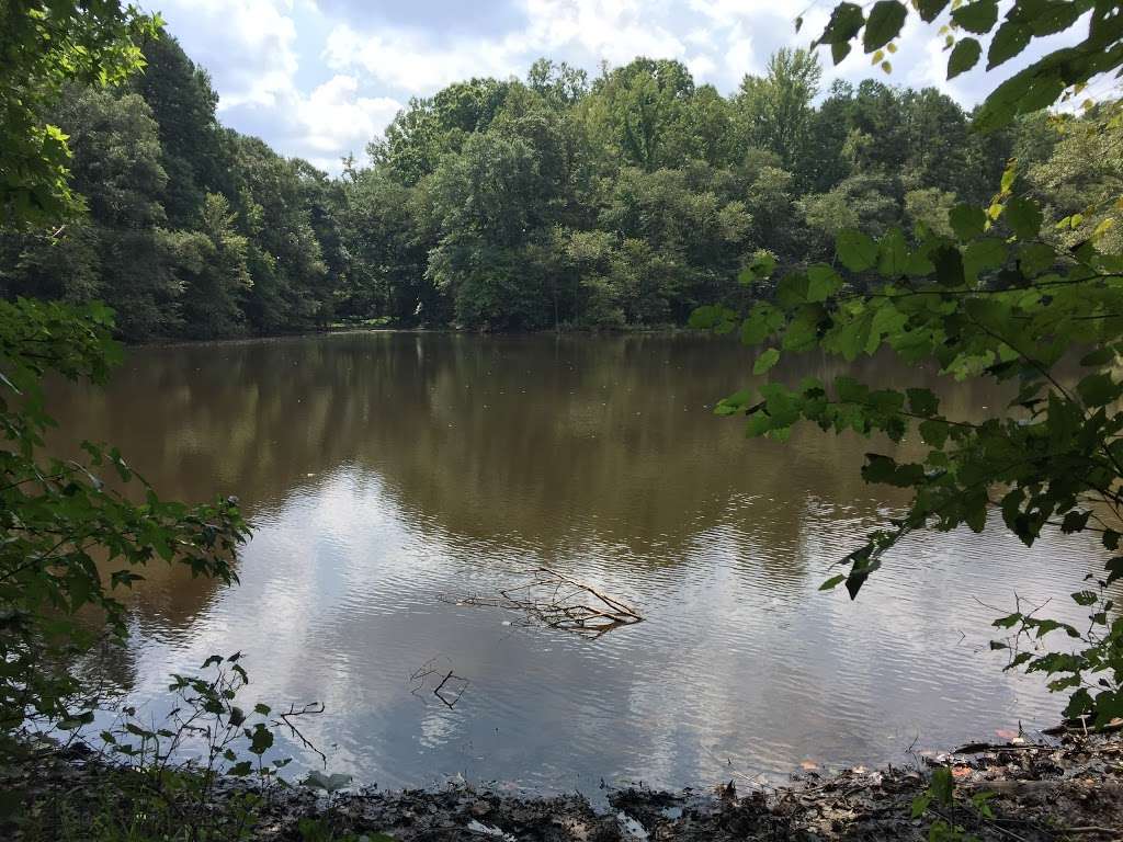 Nature Center at ASC Greenway | Anne Springs Close Greenway, 1604 State Hwy 252, Fort Mill, SC 29715, USA | Phone: (803) 547-4575