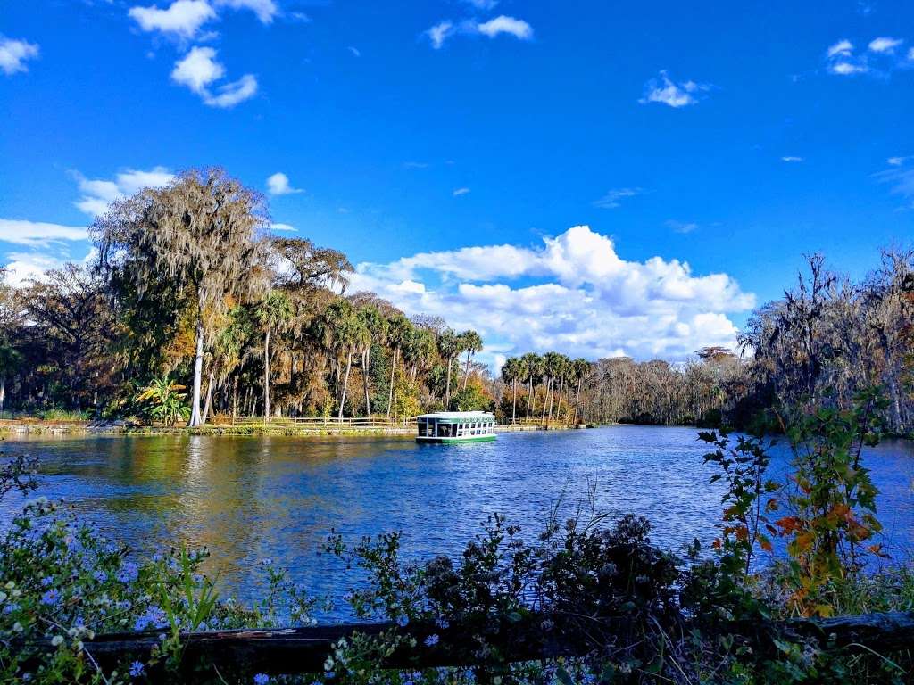 Silver Springs State Park | 5656 E Silver Springs Blvd, Silver Springs, FL 34488 | Phone: (352) 261-5840