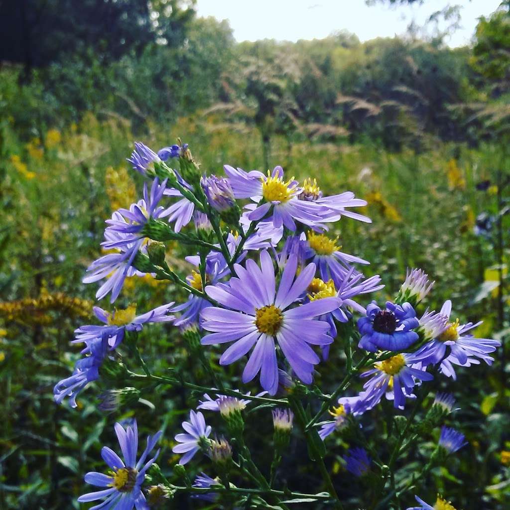 Friends of Lapham Peak | W329N846 Waukesha C, Delafield, WI 53018, USA | Phone: (262) 646-3025