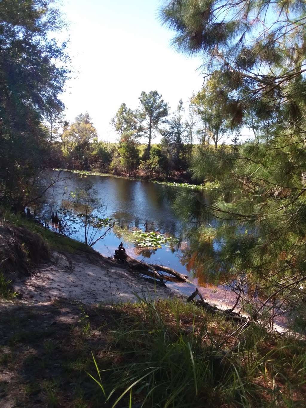 Ocklawaha Prairie Restoration Area Trail Head | SE 137th Avenue Rd, Ocklawaha, FL 32179, USA | Phone: (386) 329-4404