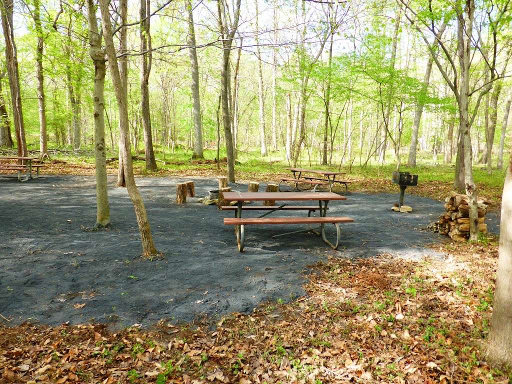 Marsden Tract Group Campground | Potomac, MD 20854