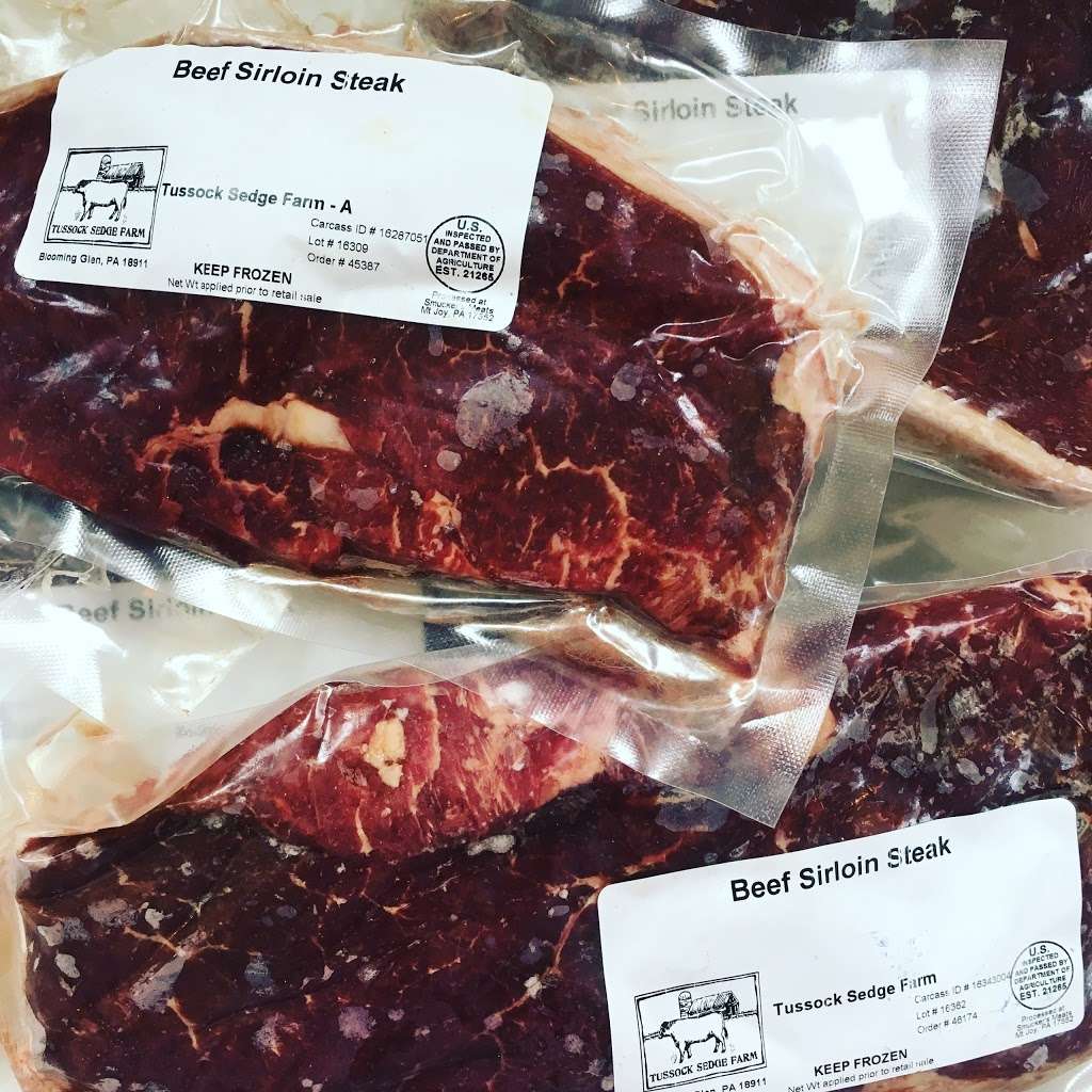 Tussock Sedge Farm 100% Grass-fed Red Angus Beef | 1239 PA-113, Blooming Glen, PA 18911, USA | Phone: (267) 450-4024