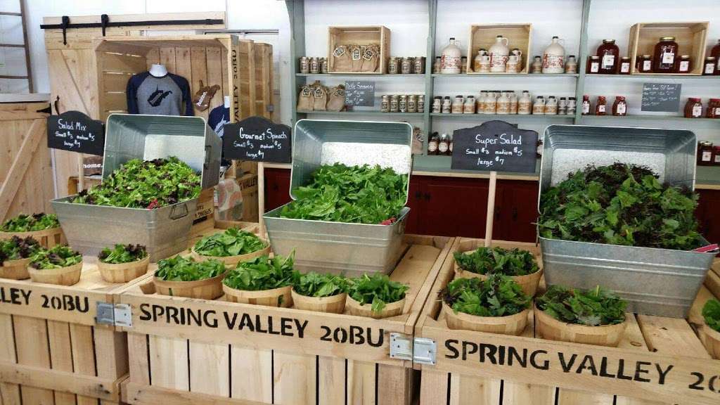 Winchester Spring Valley Market 2454 Northwestern Turnpike