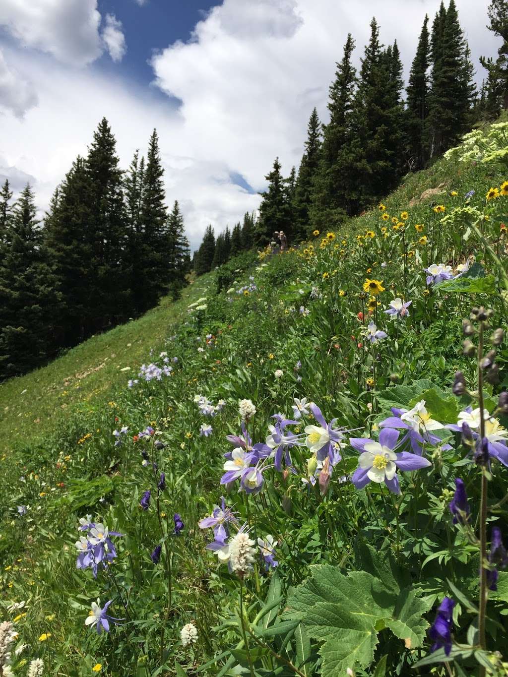 Fourth of July Trailhead | Nederland, CO 80466, USA | Phone: (303) 541-2500