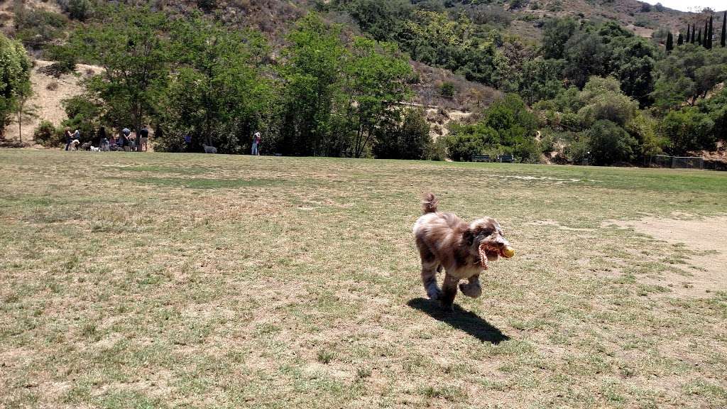 Laguna Beach Dog Park | 20672 Laguna Canyon Rd, Laguna Beach, CA 92651, USA