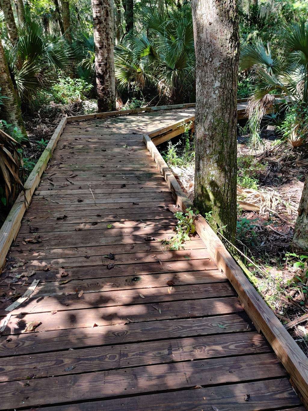 Hammock Trails -Oak Hammock , Palm Hammock | Florida