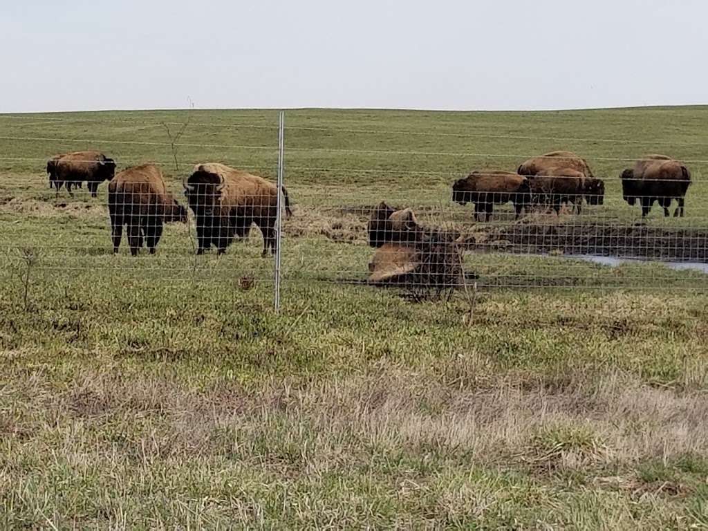 Midewin National Tallgrass Prairie Visitor Center | 30239 IL-53, Wilmington, IL 60481, USA | Phone: (815) 423-6370