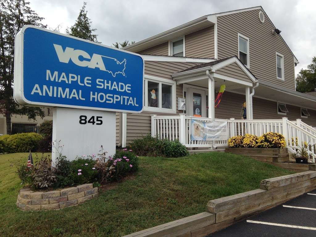 VCA Maple Shade Animal Hospital | 845 E Main St, Maple Shade Township, NJ 08052, USA | Phone: (856) 779-8818