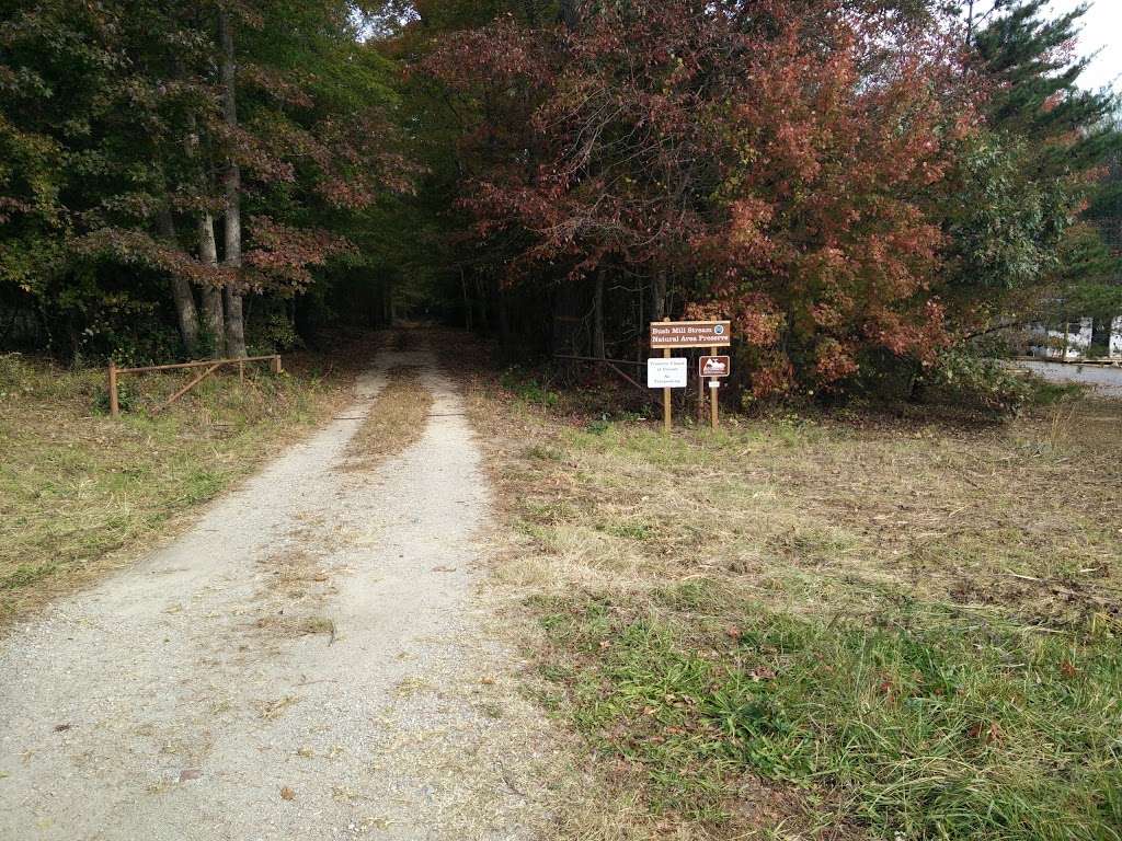 Bush Mill Stream Natural Area Preserve | Heathsville, VA 22473, USA | Phone: (804) 786-7951