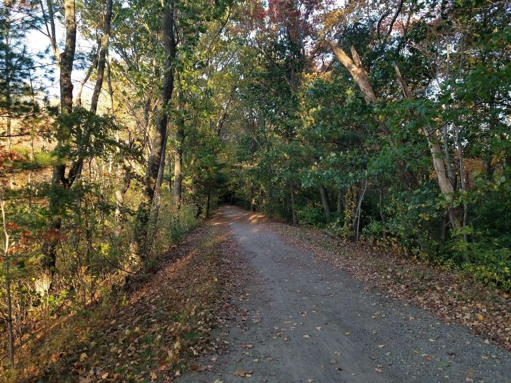 Great Meadows National Wildlife Refuge Concord Unit | Monsen Rd, Concord, MA 01742, USA | Phone: (978) 443-4661