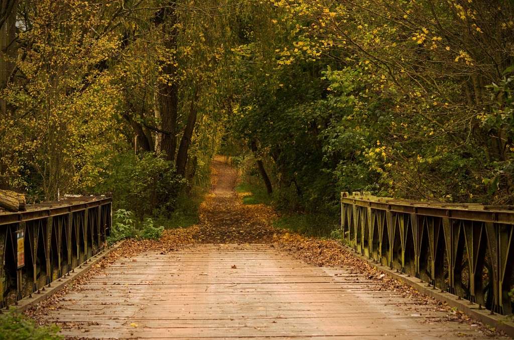 Amwell Quarry Nature Reserve | Ware SG12, UK