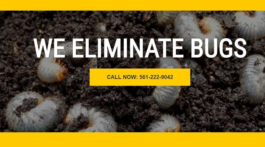 Jupiter Pest | 11359 154th Rd N, Jupiter, FL 33478 | Phone: (561) 222-9042